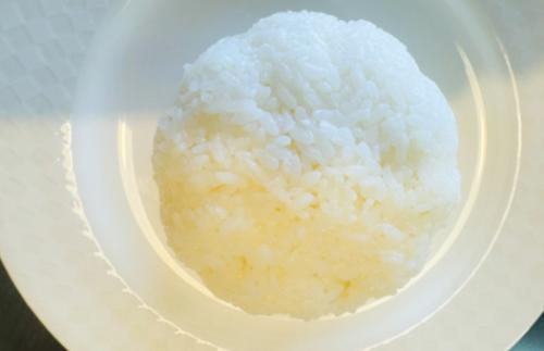 Plain Rice